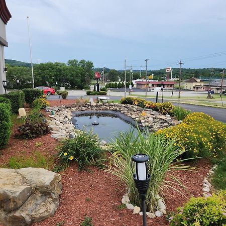 Red Roof Inn & Suites Vineland - Buena Exterior photo